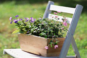 gardening